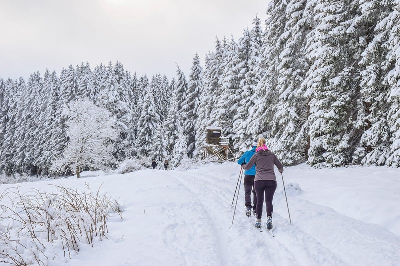 Cross-country Skiing